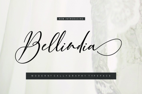 Bellindia Font: Modern Calligraphy for Handmade Products