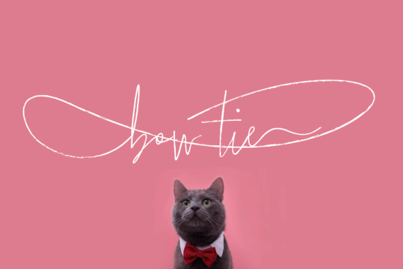 Bow Tie Font: Elegant Script for Handmade Products