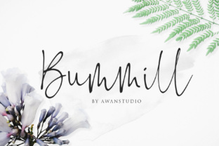 Bummill Font: Elegant Script Typography for Web Design