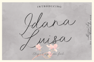 Idana Luisa Font: Elevating Small Business Branding