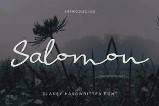 Salomon Font: Elevating Digital Brand Identity