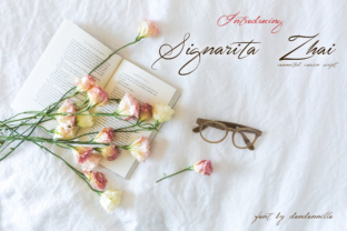 Signarita Zhai Font: A Designer’s Branding Test